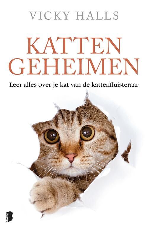 Foto van Kattengeheimen - vicky halls - ebook (9789402303735)