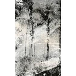 Foto van Dimex palm trees abstract fotobehang 150x250cm 2-banen