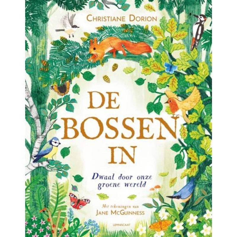 Foto van De bossen in