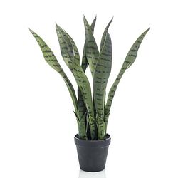 Foto van Emerald kunstplant sansevieria in pot 55 cm