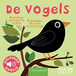 Foto van De vogels