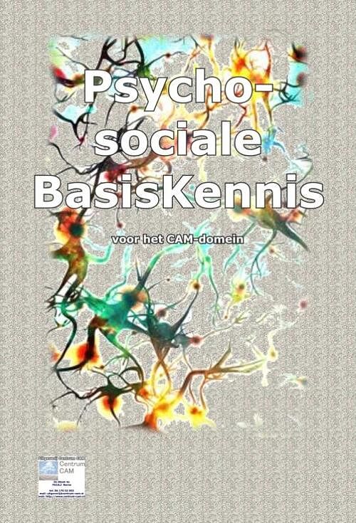 Foto van Psychosociale basiskennis voor het cam-domein - nico smits - paperback (9789080976375)