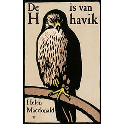 Foto van De h is van havik