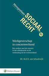 Foto van Werkgeverschap in concernverband - hardcover (9789013171013)