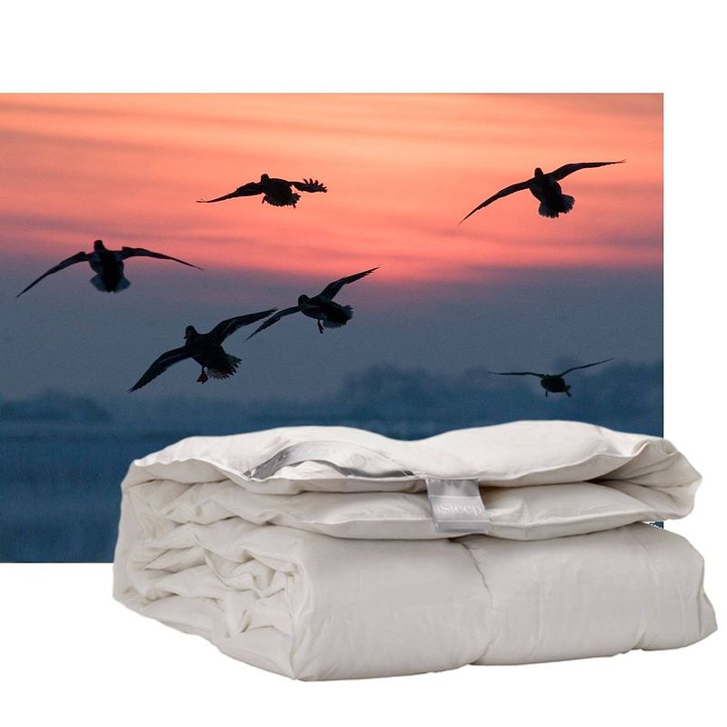 Foto van Isleep enkel dekbed 60% dons - warmteklasse 2 - lits-jumeaux 240x220 cm