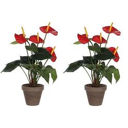 Foto van 2x kunstplanten anthurium rood in grijze pot 40 cm - kunstplanten