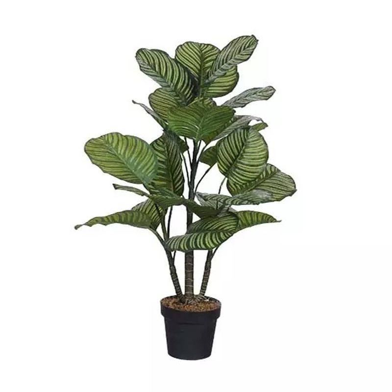 Foto van Calathea kunstplant