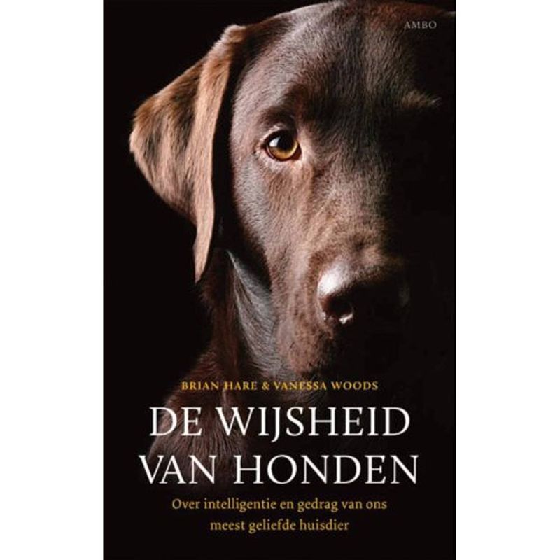 Foto van De wijsheid van de honden