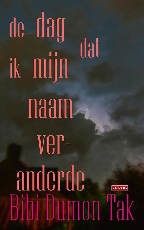 Foto van De dag dat ik mijn naam veranderde - bibi dumon tak - ebook (9789044542721)