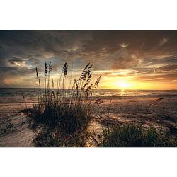 Foto van Tuinschilderij strand avond 50x70 cm