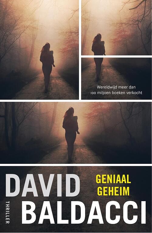 Foto van Geniaal geheim - david baldacci - ebook (9789044960716)