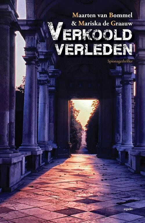 Foto van Verkoold verleden - maarten van bommel, mariska de graauw - ebook (9789463381451)