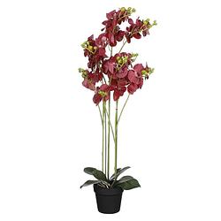 Foto van Mica decorations orchidee bloem kunstplant - rood - h90 x b30 cm - kunstplanten
