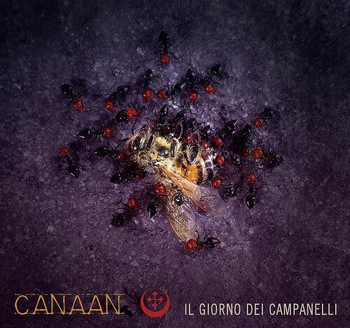 Foto van Il giorno dei campanelli - cd (8033622535546)