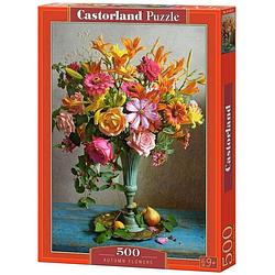 Foto van Castorland puzzel autumn flowers 47 cm karton 500 stukjes