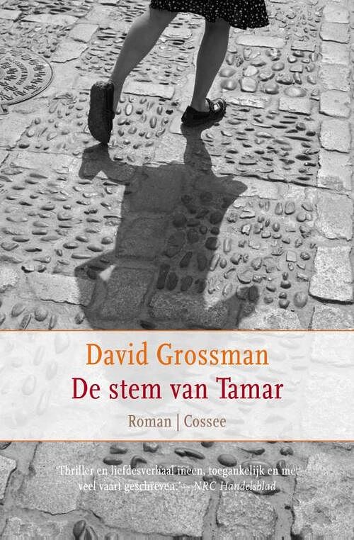 Foto van De stem van tamar - david grossman - ebook (9789059365575)