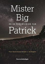 Foto van Mister big en de verdwijning van patrick - floor oosterwechel, peter j. van koppen - paperback (9789462365513)