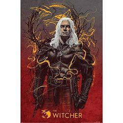 Foto van Pyramid the witcher geralt the wolf poster 61x91,5cm