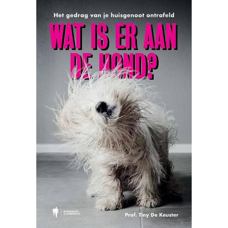 Foto van Wat is er aan de hond ?