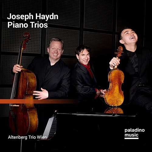 Foto van Joseph haydn: piano trios - cd (9120040731328)