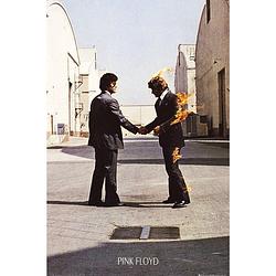 Foto van Gbeye pink floyd wish you were here poster 61x91,5cm