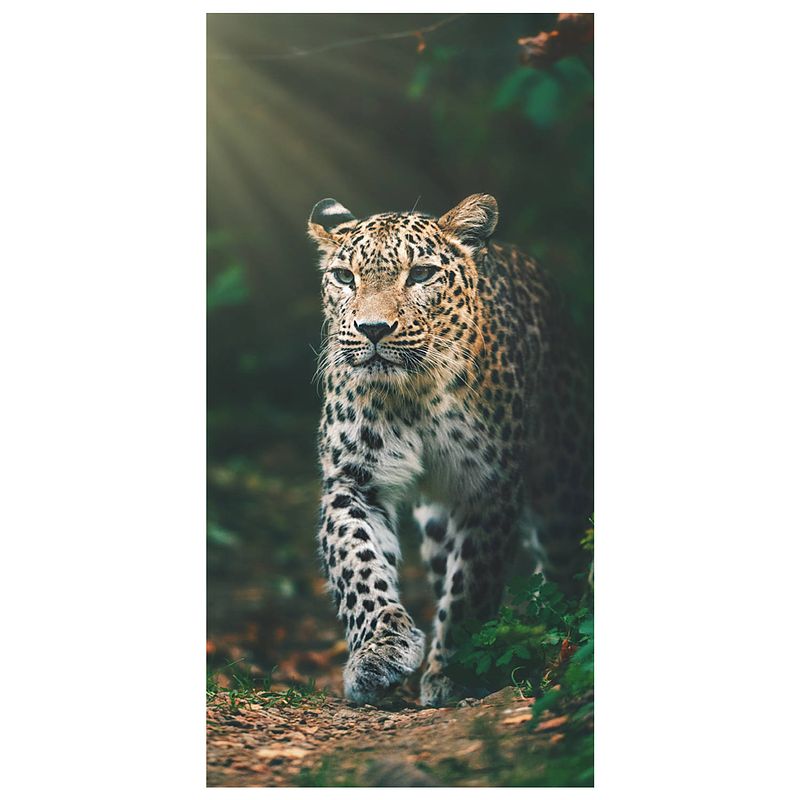 Foto van Animal pictures strandlaken luipaard - 70 x 140 cm - katoen
