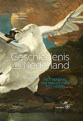 Foto van Geschiedenis van nederland - anne doedens, liek mulder, yolande kortlever - ebook (9789462495463)