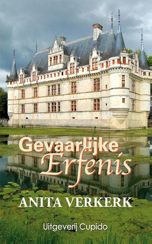 Foto van Gevaarlijke erfenis - anita verkerk - ebook (9789462040281)