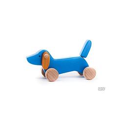 Foto van Bajo houten teckel puppy - blauw