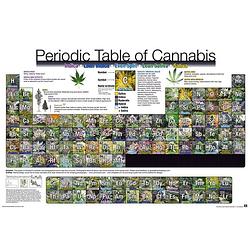 Foto van Gbeye periodic table of cannabis poster 91,5x61cm
