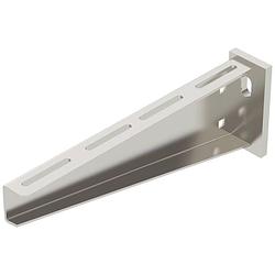 Foto van Obo bettermann 6443067 montageaccessoire (b x h) 310 mm x 110 mm metaal 1 stuk(s)