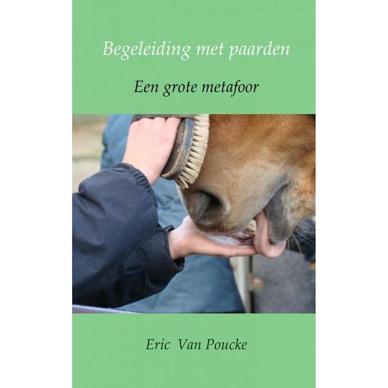 Foto van Begeleiding met paarden