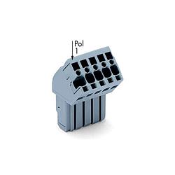 Foto van Wago 769-105/022-000 connector, female 50 stuk(s)