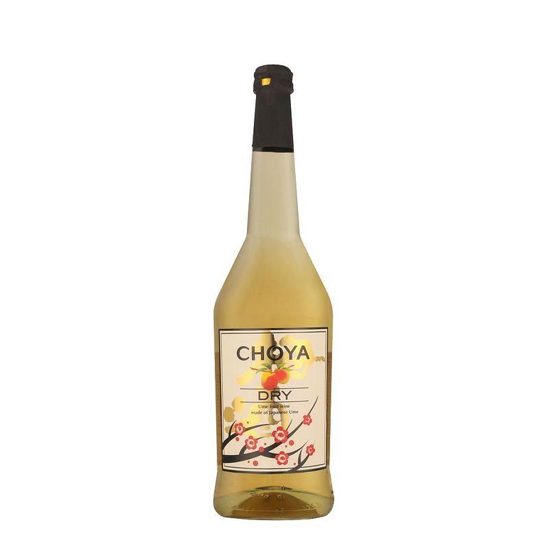 Foto van Choya dry 75cl wijn