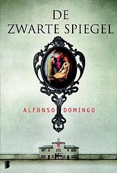 Foto van De zwarte spiegel - alfonso domingo - ebook (9789460233821)