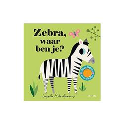 Foto van Zebra, waar ben je?