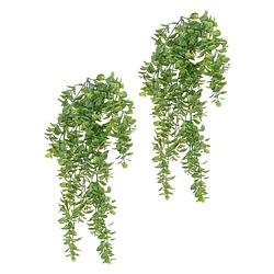 Foto van Louis maes kunstplanten - 2x - buxus - groen - hangende takken bos van 150 cm - kunstplanten