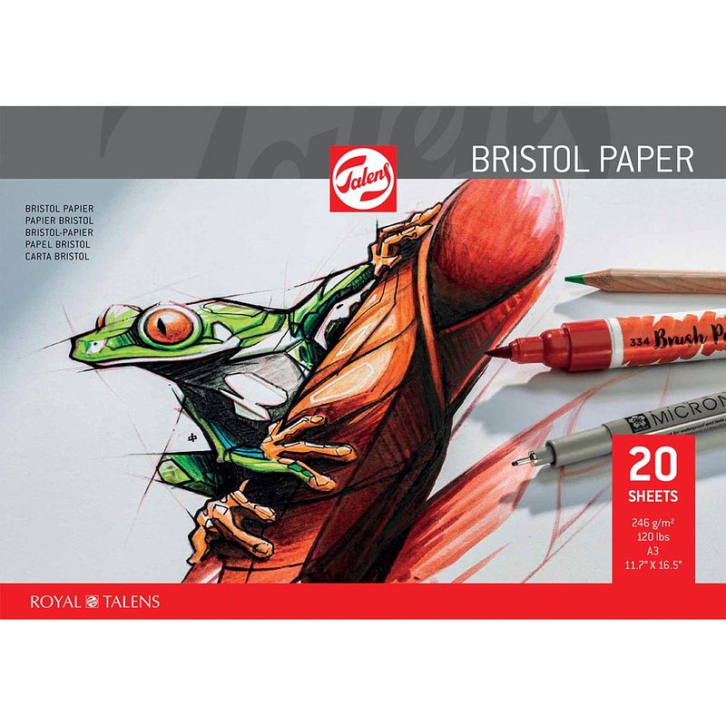 Foto van Talens bristol papier, 250 g/m², ft 29,7 x 42 cm (a3)