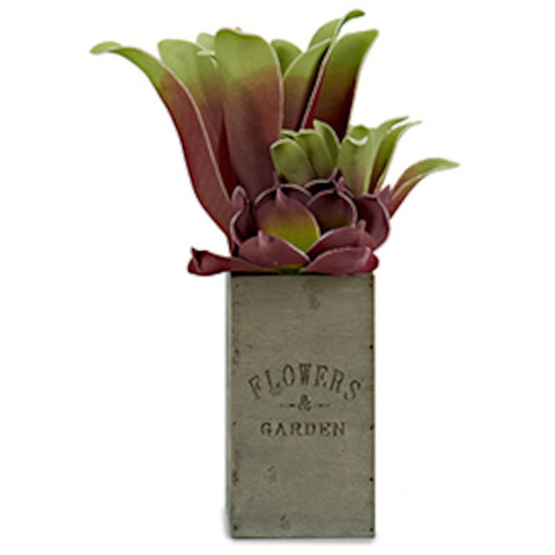 Foto van Ibergarden kunstplant vetplant 10 x 50 cm hout rood/groen