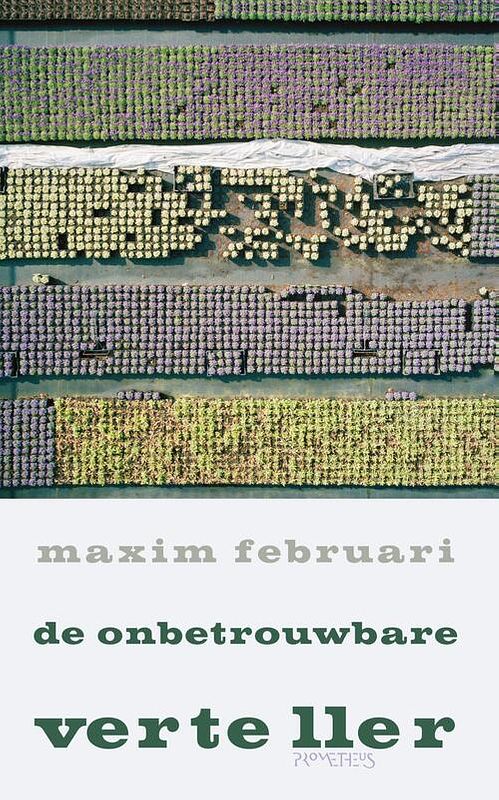 Foto van De onbetrouwbare verteller - maxim februari - ebook (9789044641653)