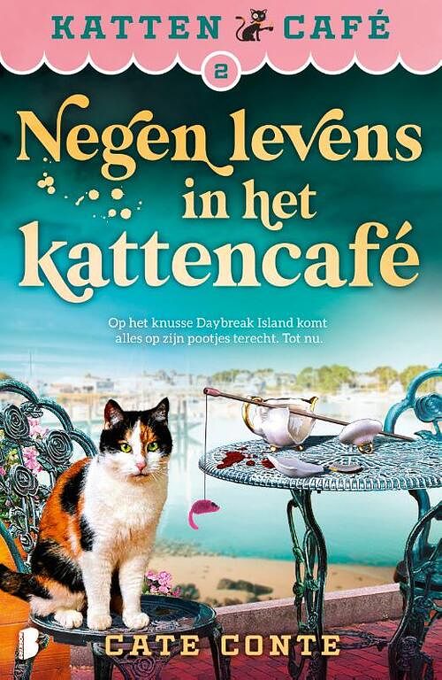 Foto van Negen levens in het kattencafé - cate conte - paperback (9789022596258)