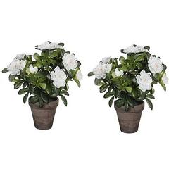 Foto van 2x groene azalea kunstplant witte bloemen 27 cm in pot stan grey - kunstplanten