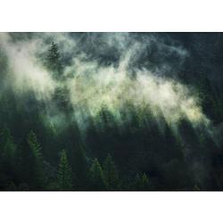 Foto van Komar misty crowns vlies fotobehang 350x250cm 7-banen