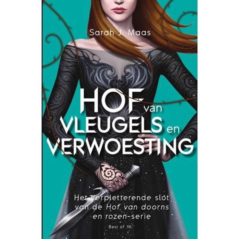 Foto van Hof van vleugels en verwoesting - hof van doorns