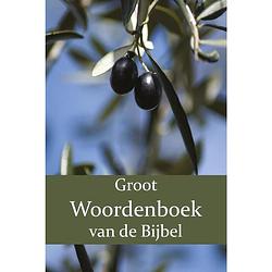 Foto van Groot woordenboek van de bijbel o-z