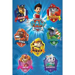 Foto van Poster paw patrol 61 x 91,5 cm