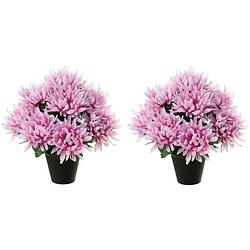 Foto van Louis maes kunstbloemen plant in pot - 2x - lila paars tinten - 28 cm - bloemenstuk ornament - chrysanten - kunstbloemen