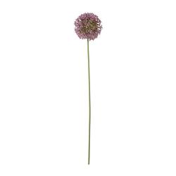 Foto van Kunstbloem allium - paars - 64 cm