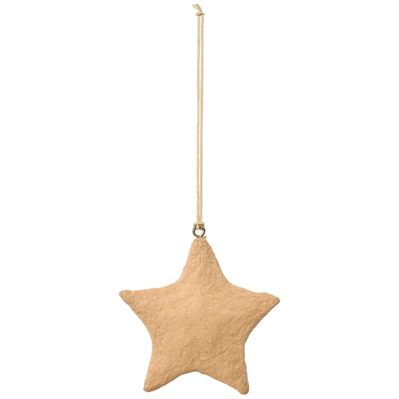 Foto van Broste copenhagen hangornament star pulp