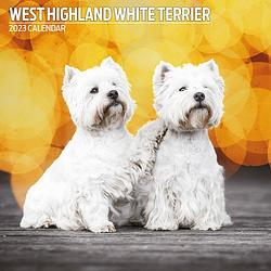 Foto van West highland white terrier kalender 2023